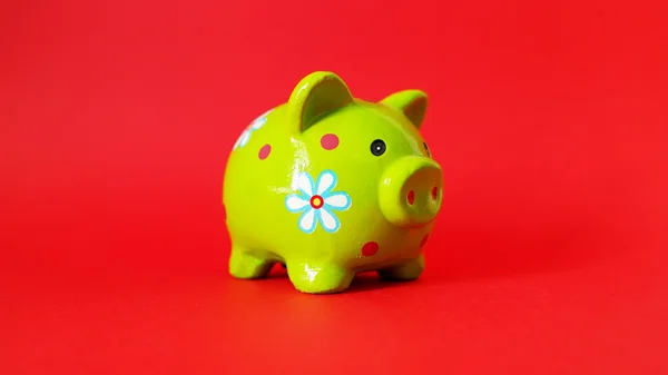 Pig money box with a red background