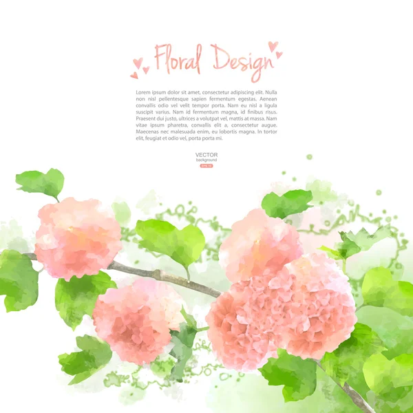 Vector Watercolor Flowers Hydrangea