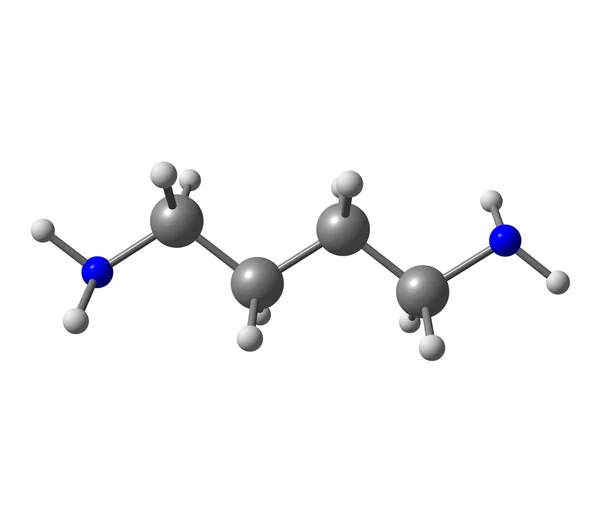 Putrescine molecule isolated on white