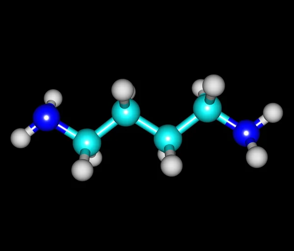 Putrescine molecule isolated on black
