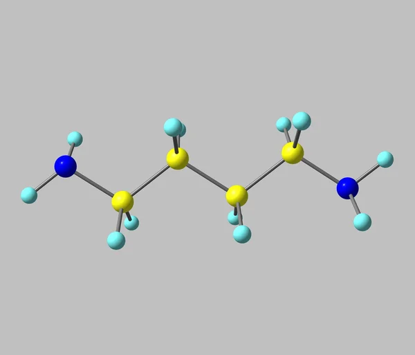 Putrescine molecule isolated on grey