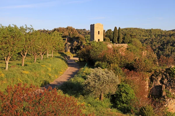 Medieval tower in village with rural landscape, Provence