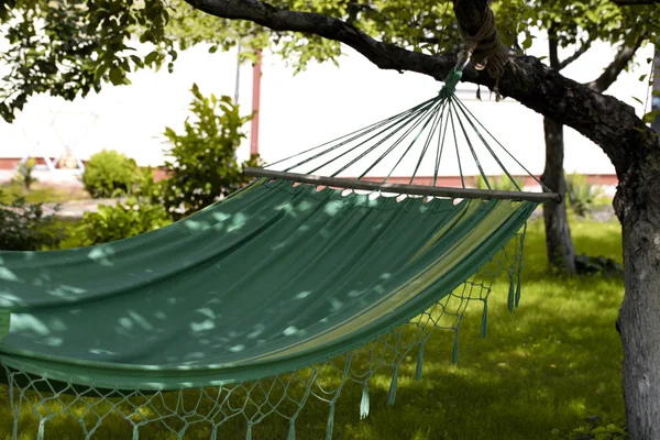 Hammock in the summer garden