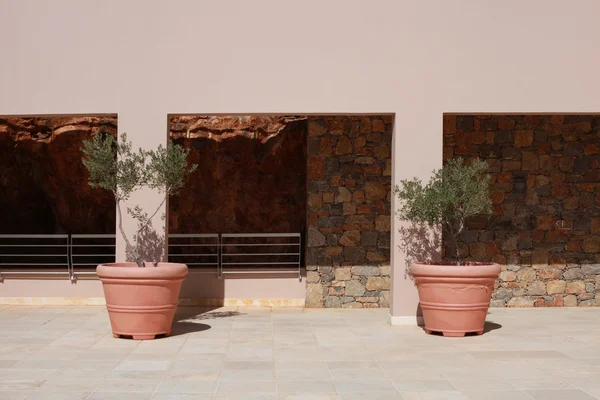 Two terracotta pots with olive trees on terrace of stone mediterranean house, Greece