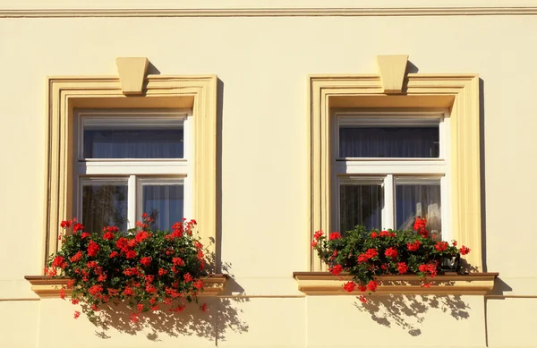 Windows and flower boxes, Prague