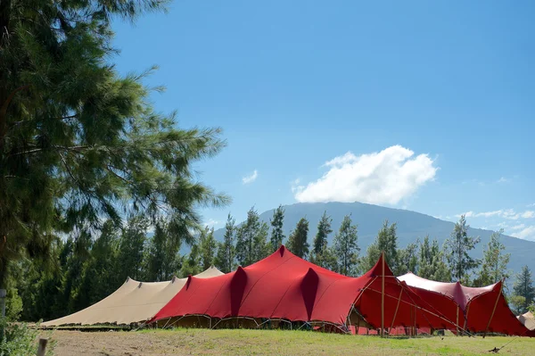 Red and tan marquee tents
