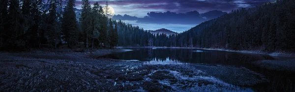 Crystal clear lake near the pine forest in  mountains at night