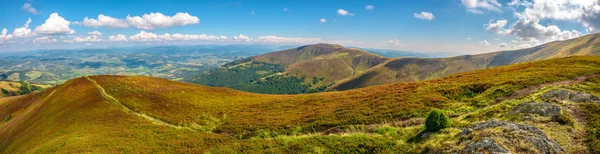 Panoramic summer landscape in Carpathians