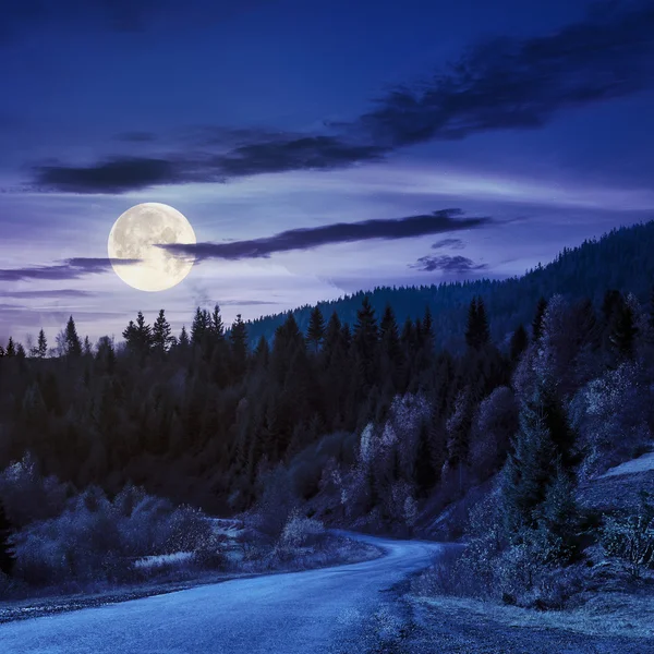 Winding road to forest in mountains at night