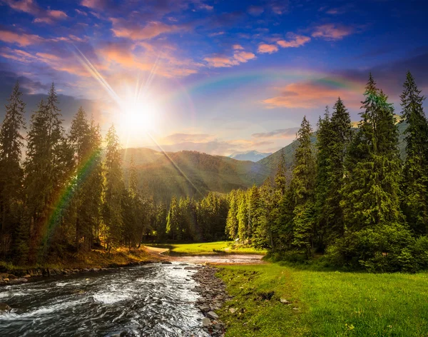 Mountain river in pine forest at sunset