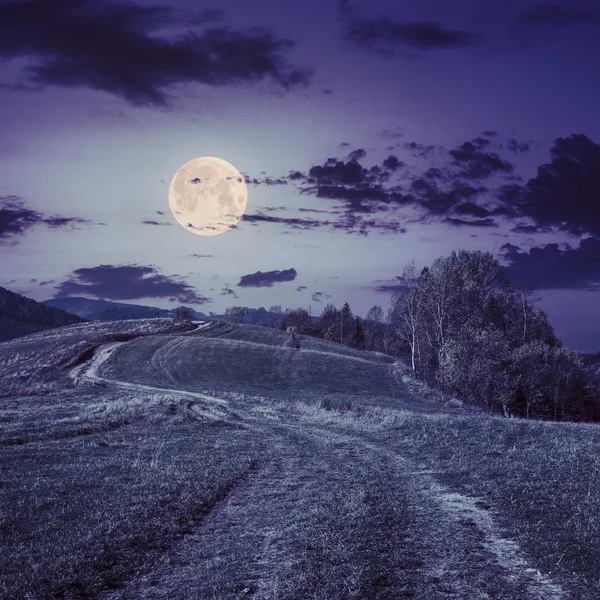 Path on hillside meadow in mountain at night