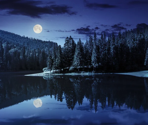 La fredda luce del giorno Streaming HD