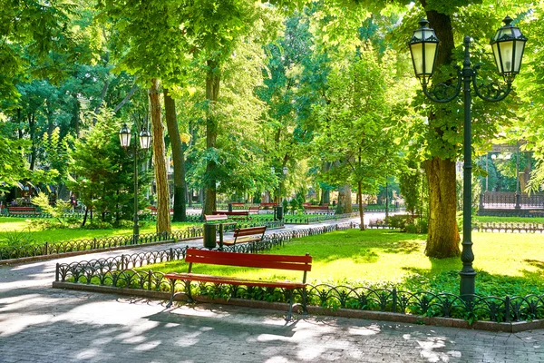 Green city park at summer season, bright sunlight and shadows, beautiful landscape