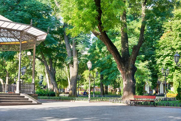 Green city park, summer season, bright sunlight and shadows, beautiful landscape, home and people on street