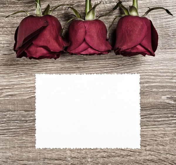 Red rose flower with blank sheet on wood