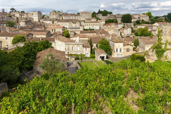 Vineyard and village in France