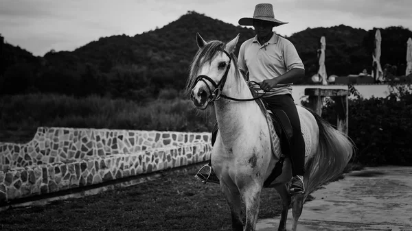 Man riding horse at farm, Korat