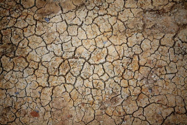 Broke cracked earth for textured background