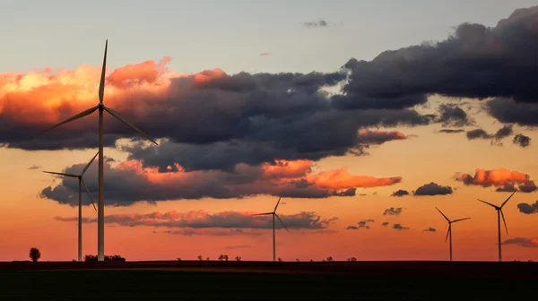Wind power plant silhouettes in sunset