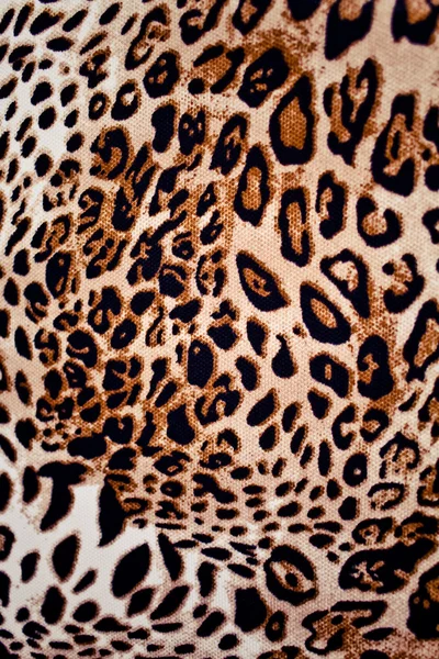 Wild animal pattern background or texture