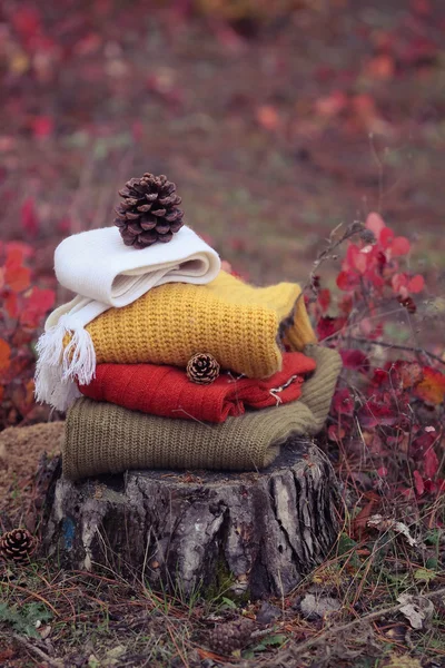 Pile knitted sweaters in the autumn wood