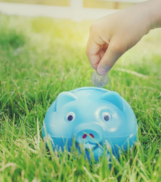 Blue piggy bank sitting on grass with hand putting Thai money.