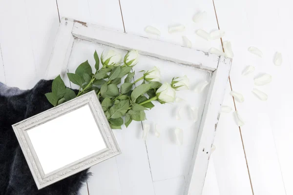 Empty picture frame with white roses, fallen petals and blue-grey fur