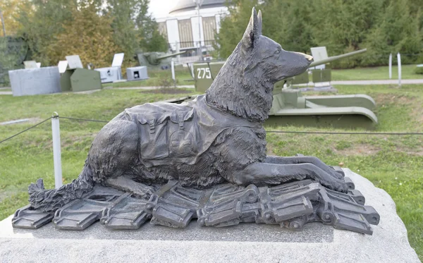 Frontline dog. During the Great Patriotic War were taken from th