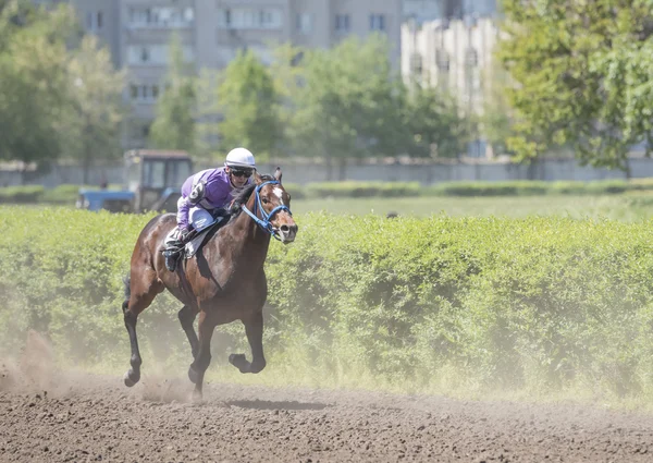 Horseman rides on the racetrack on the opening day