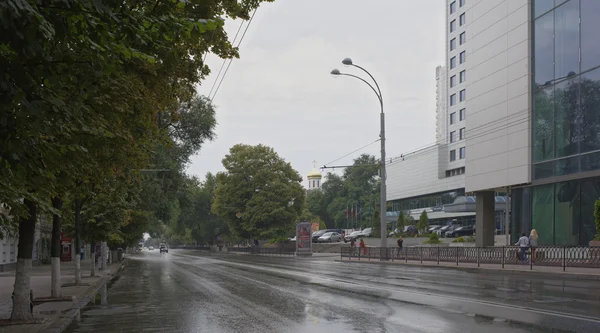 On Bolshaya Sadovaya, after the rain, moving cars and citizens