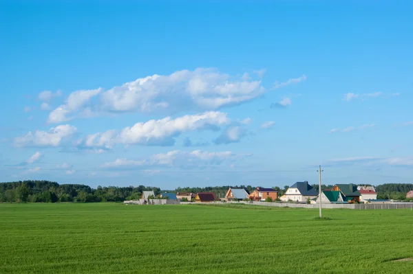 Landscape with village and the field in sunny day