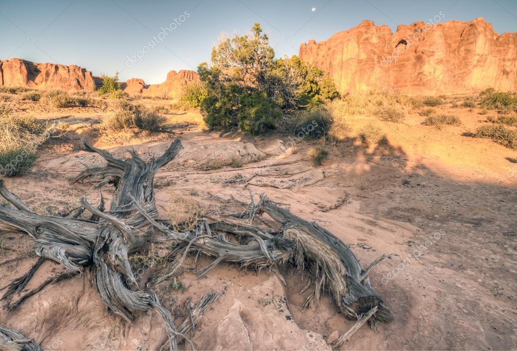 arches national park term paper arches national park term paper