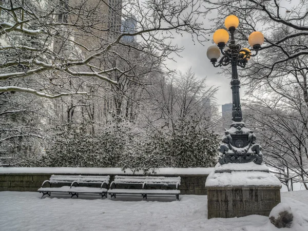 Central Park after snow storm