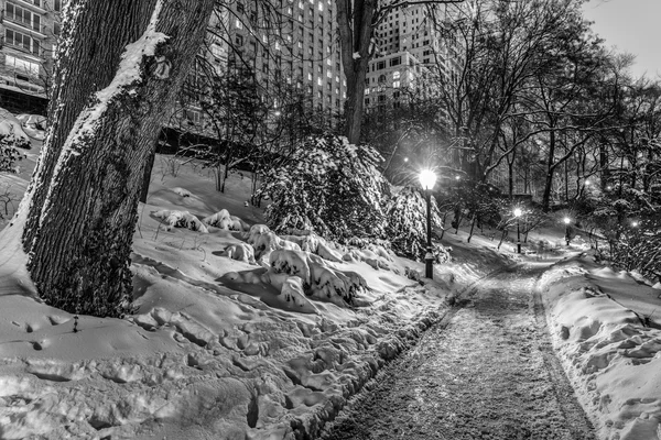 Winter storm Central Park, New York City