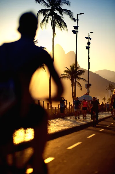 Bike Path Sidewalk Ipanema Beach Rio de Janeiro Brazil