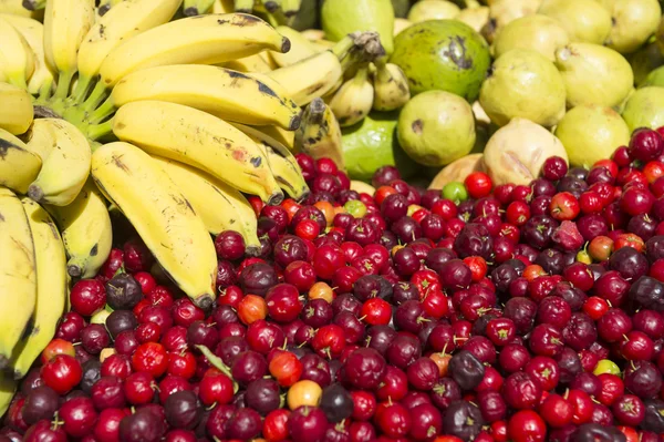 Bananas and Fresh Ripe Red Acerola Cherry Fruit