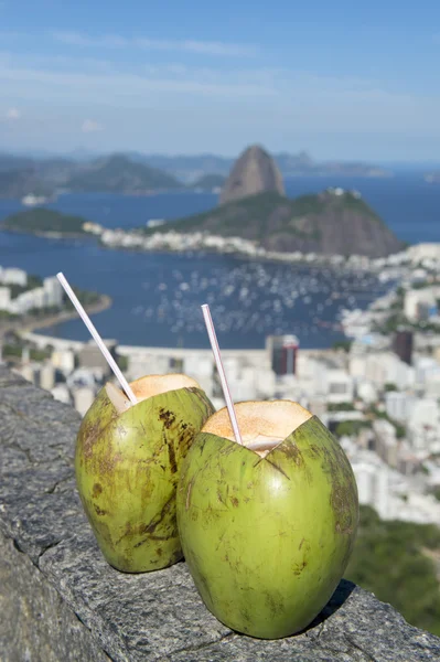Green Coconuts Rio de Janeiro City Skyline Overlook