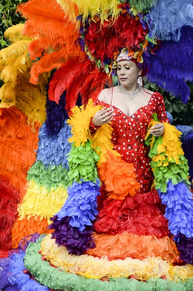 Drag Queen in Rainbow Dress Gay Pride Parade
