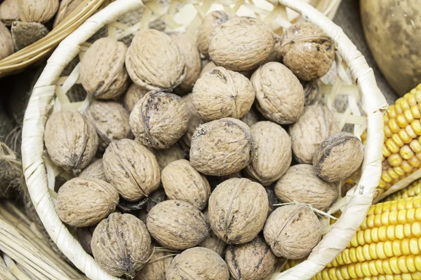 Ripe walnuts