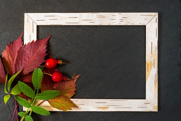 Frame from birch bark, red and green leaves with berries of bria