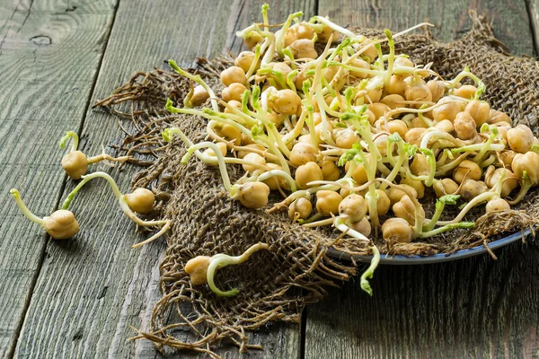 Sprouted chickpeas for cooking healthy food