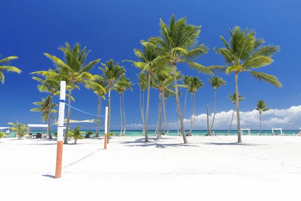 Beach on tropical island