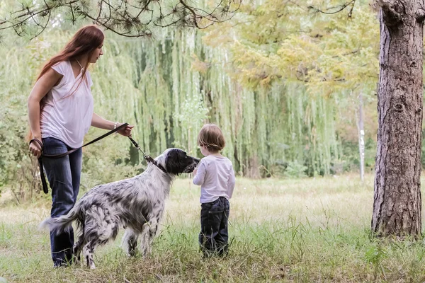 Young mother with toddler and dog enjoying their time on nature,