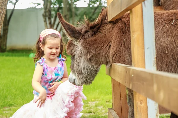 Outdoor portrait of young happy young girl feeding donkey on far