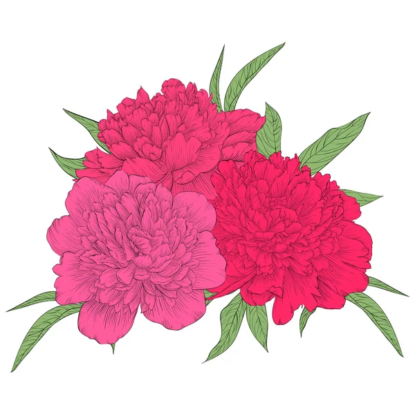 Beautiful bouquet of pink peonies with green leaves. Perfect background greeting cards and invitations to the wedding, birthday, mother\'s day and other seasonal holidays