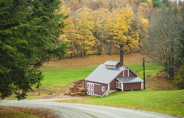 Maple sugar house, Reading, Vermont, USA