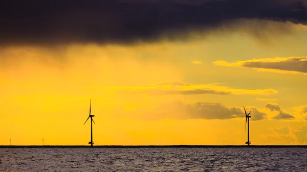 Wind turbines along coast sea