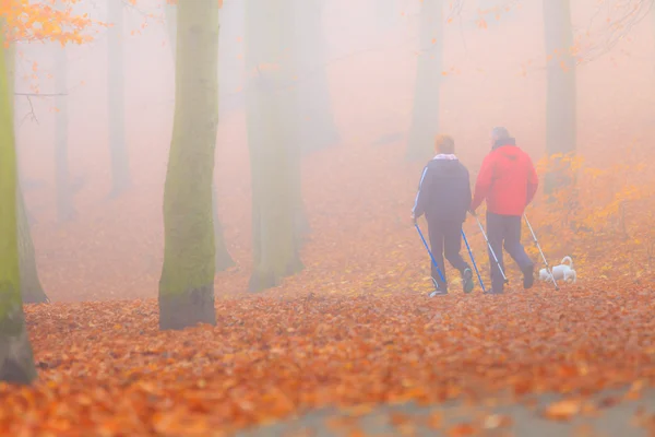 Couple walking in autumn forest.