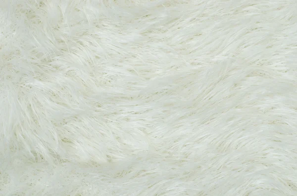 Fluffy white fur.
