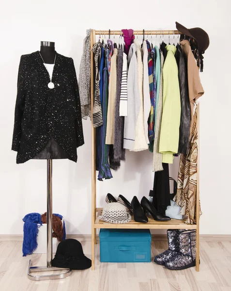 Wardrobe with winter clothes arranged on hangers and a festive sparkly outfit on a mannequin.